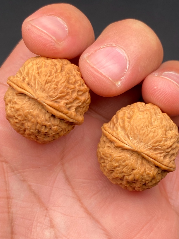 云南铁核桃 鱼子球 27-28尺发货图片同款随机一对