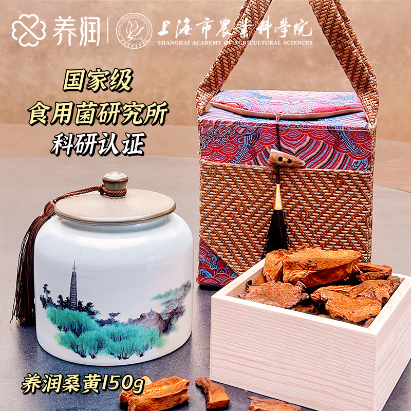 【养润】 桑黄150g 礼盒装食用不苦 优选养生切片煮水方便
