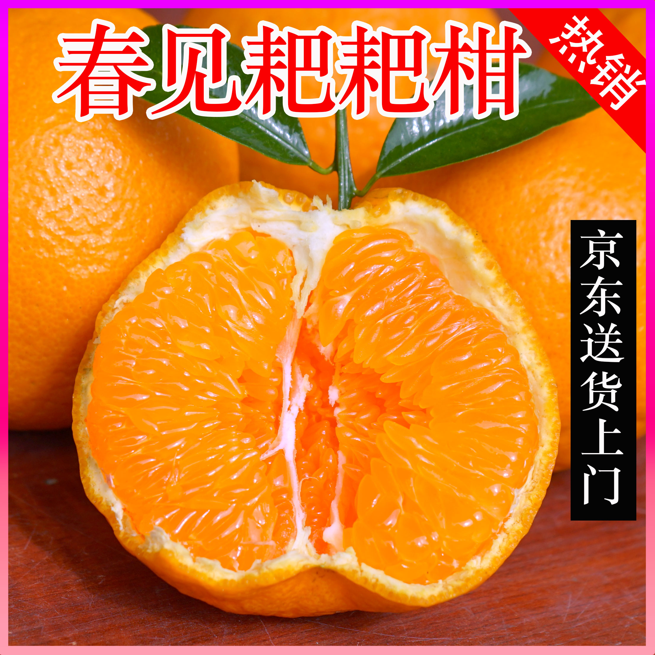 【与辉同行东方甄选】四川春见耙耙柑皮薄汁多新鲜水果当季采摘爽