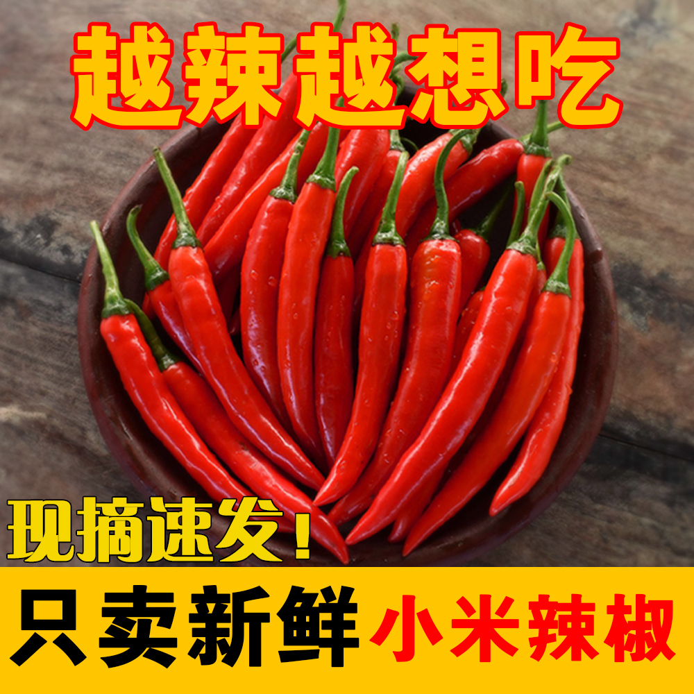 艳红小米椒新鲜小米辣红辣椒制作辣椒酱腌制泡椒必备3/5斤装