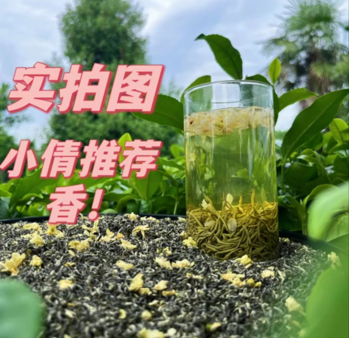 【2025碧潭级5A飘雪】川派茉莉浓香型茉莉花茶125g250g500g