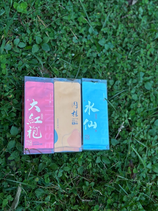 果香肉桂水仙岩茶武夷山大红袍两泡茶样17g试喝装