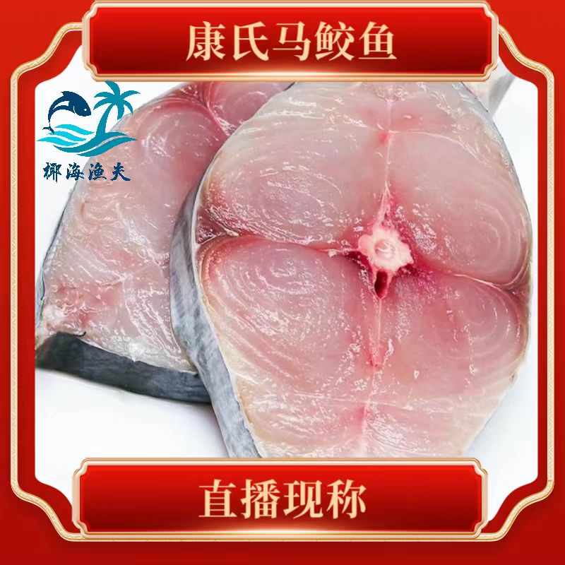 13斤【康氏马鲛鱼】海南深海野生，直播现称