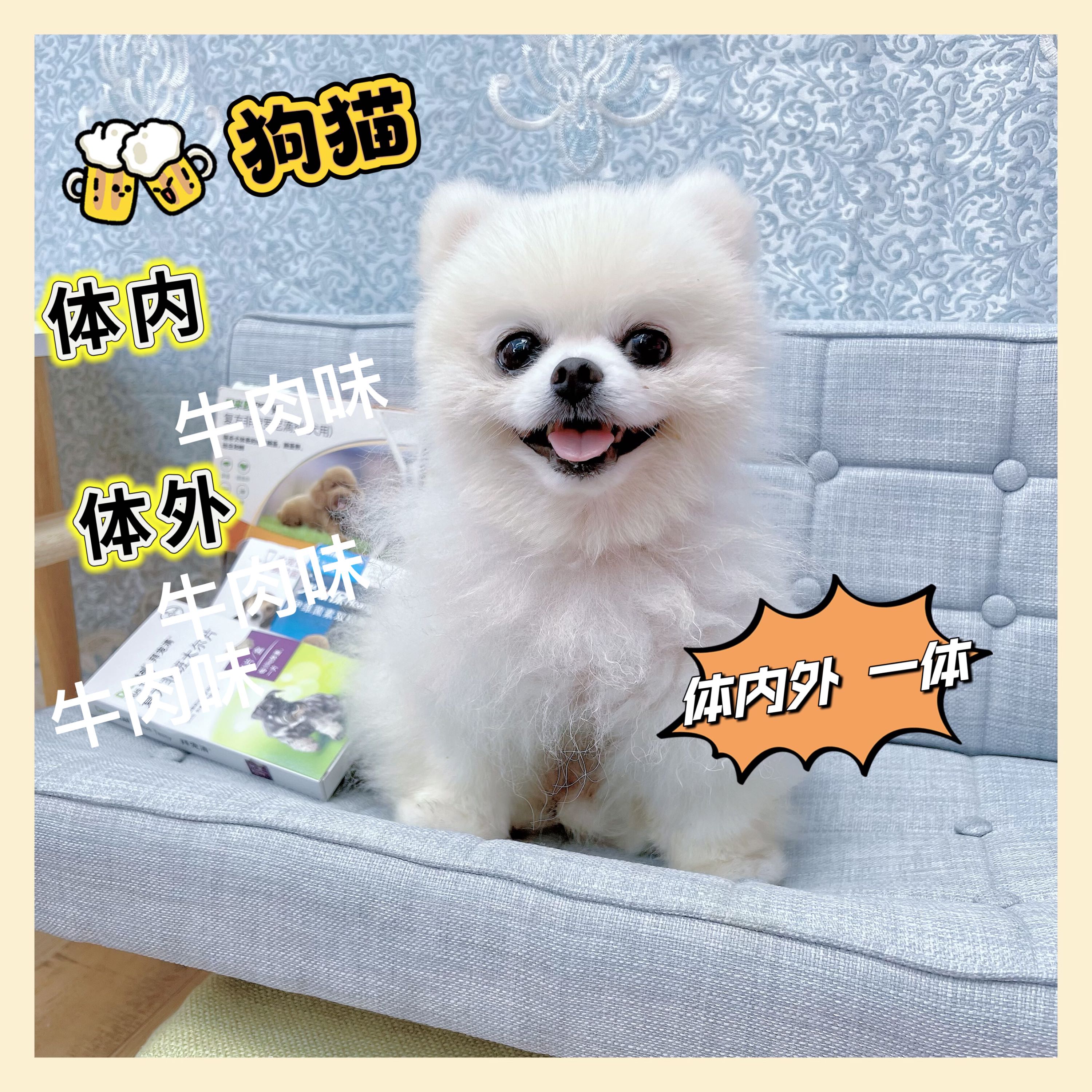 【狗内用 外用】雪糕家【雪糕】