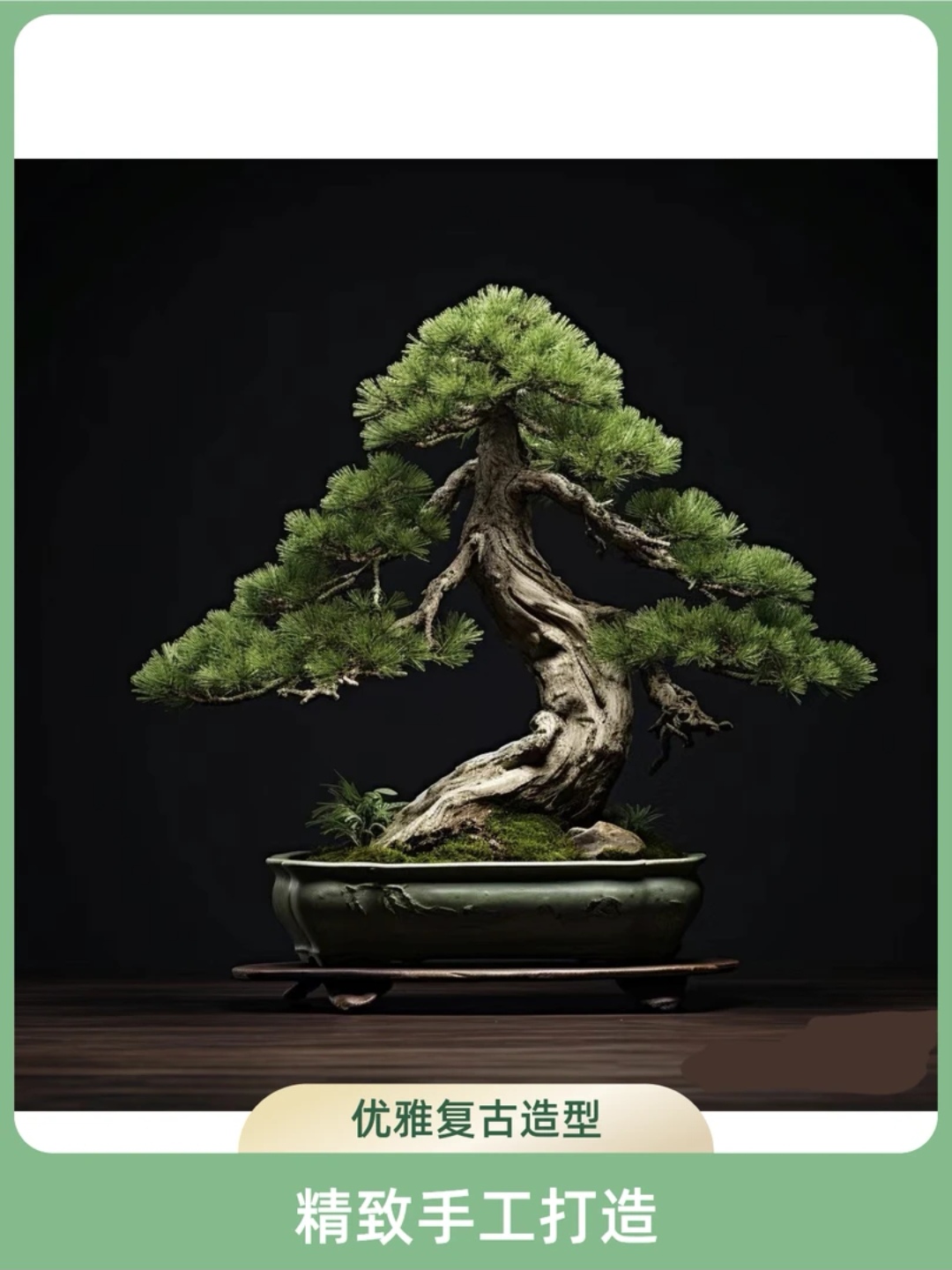 罗汉松盆景【一物一拍】植物造型景观四季常青真树老桩