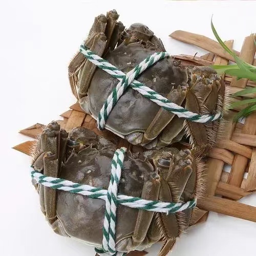 【活蟹】江苏大闸蟹公蟹1.9-2.1两/只1只