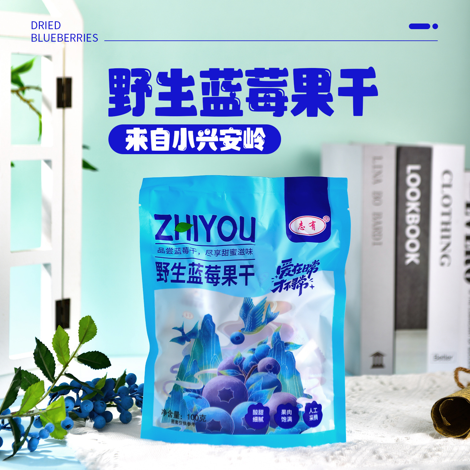 志有野生蓝莓果干蜜饯零食蓝莓干100g/袋到手5袋B