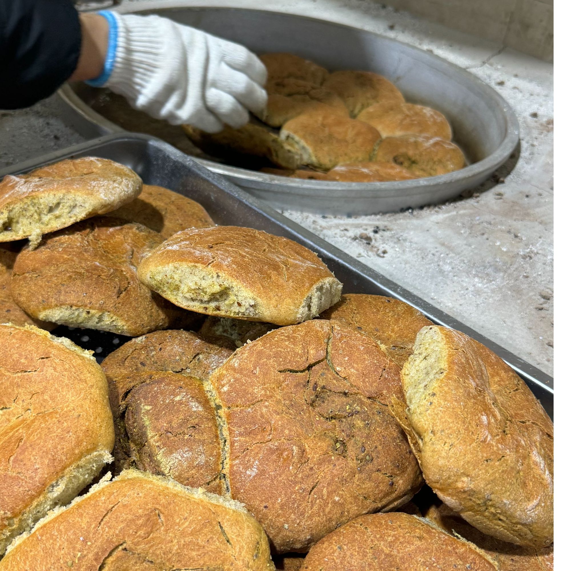 马海亚青海农家家常青稞杂粮 粗粮低脂饱腹代餐