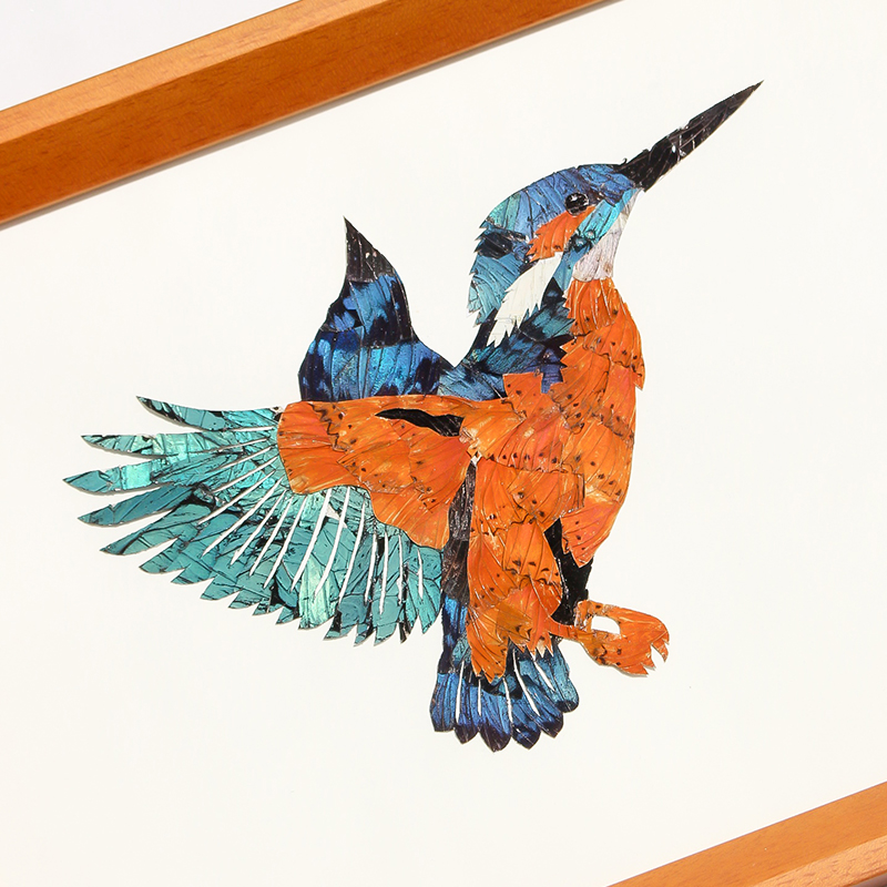 蜂鸟蝶翅画真实蝴蝶昆虫标本展示盒创意特色家居挂画玄关摆件礼物