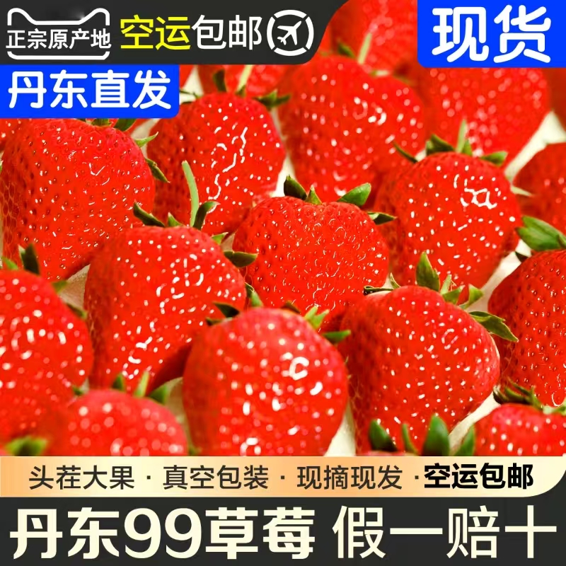「牛奶草莓」正宗丹东九九草莓红颜奶油草莓产地直发空运包邮现采