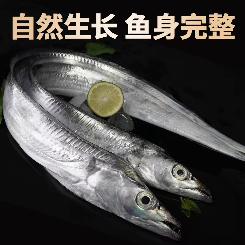 连云港发货 新鲜速冻小眼油带鱼250g-300g/条 净重4斤