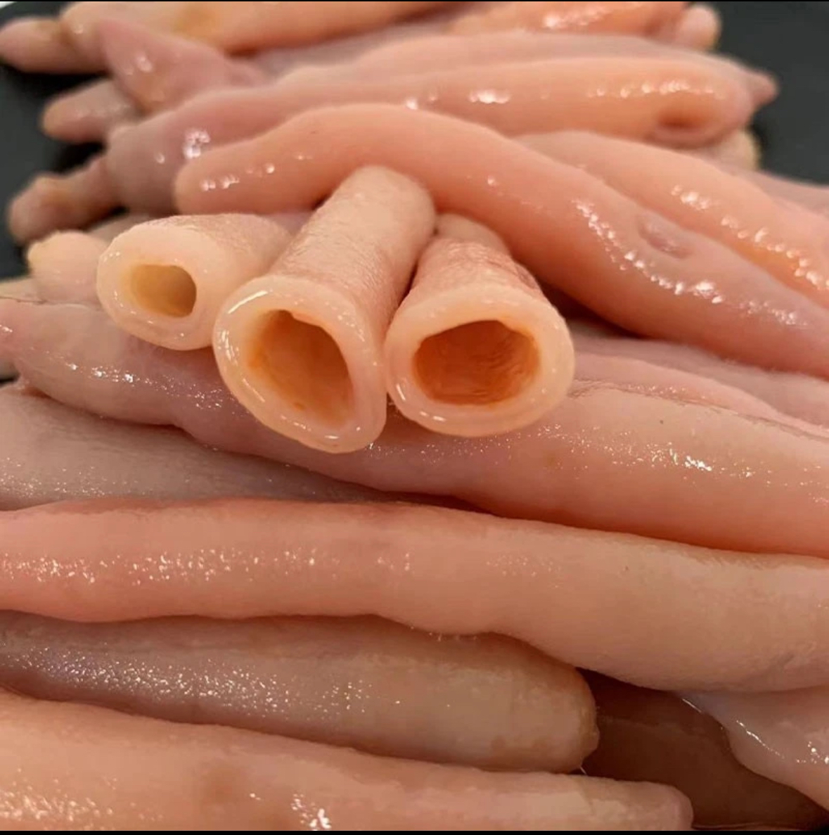 大连海鲜  海肠（速冻发货）