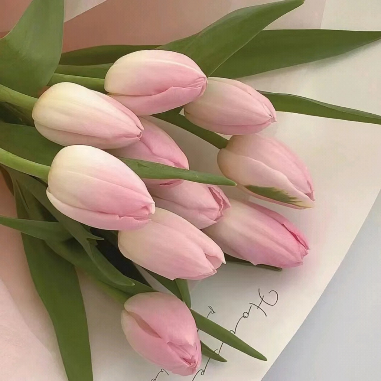 20-郁金香单品（生花苞发货，花苞比较小）