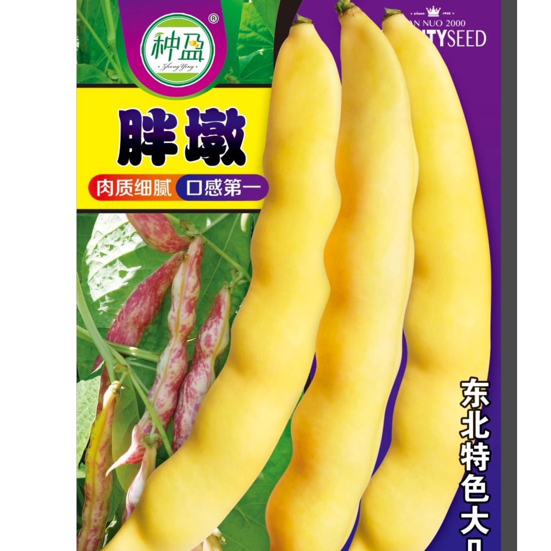 种盈胖墩豆角种子，豆角无筋无柴，非常好吃，结角多，结角成串！精品