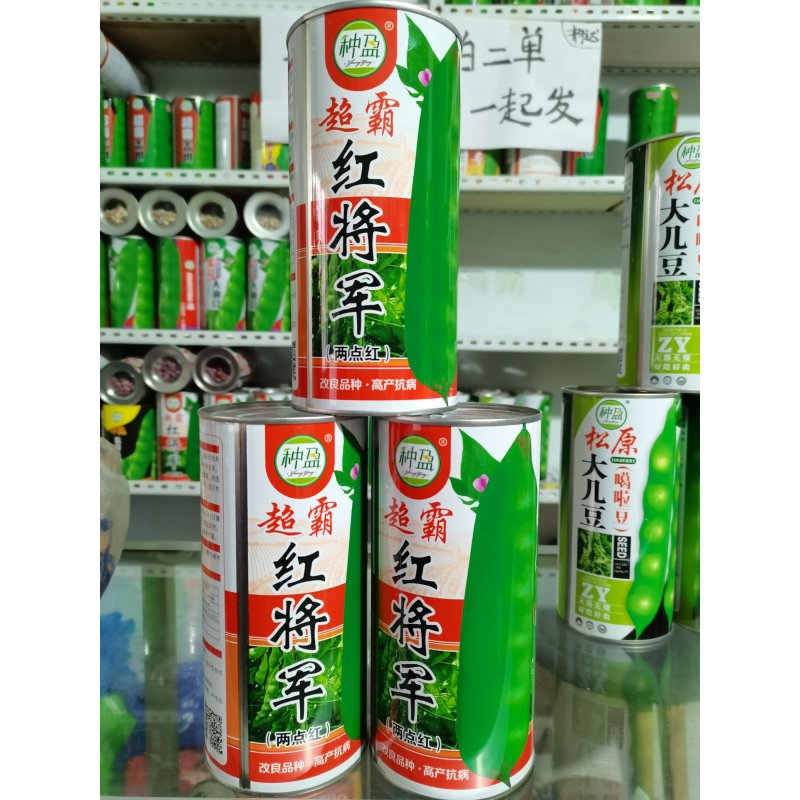 种盈红将军豆角种子