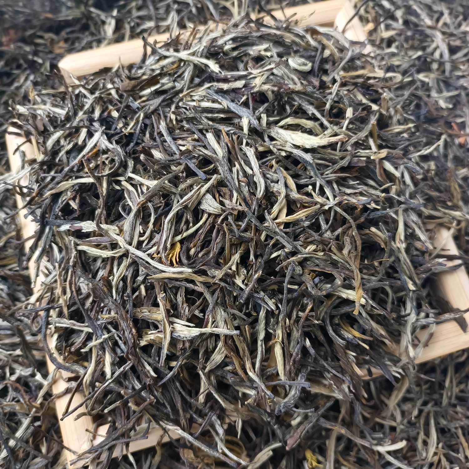 茉莉银针250g~500g