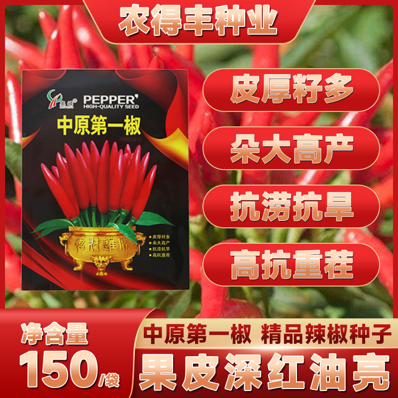 【中原第一椒】四季发芽播种新品种农业基地辣椒种子抗病抗倒
