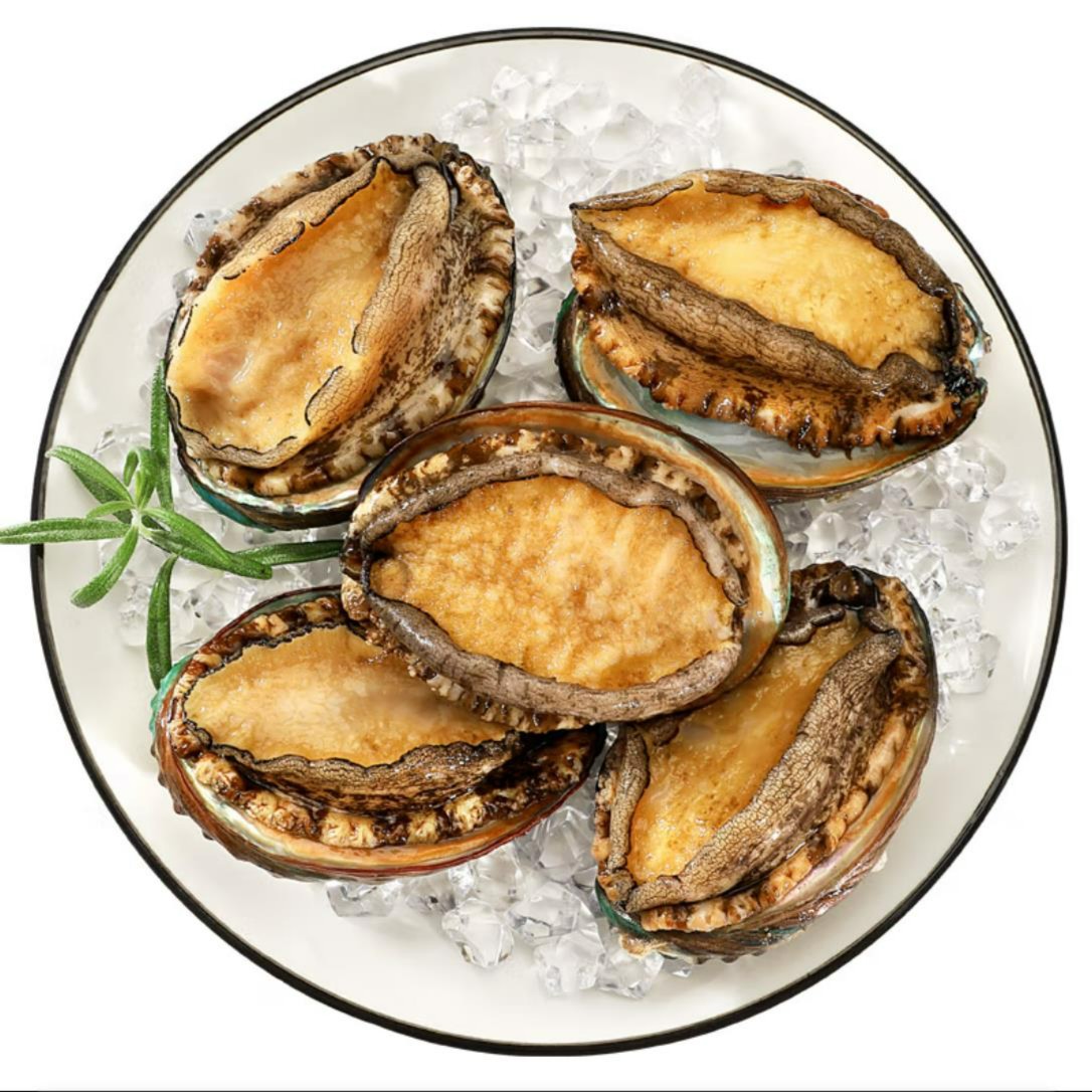 3-4头鲍 鱼[两斤装]  3-4只一斤规格 福建东山岛  黄金鲍 