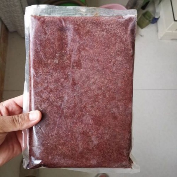 七彩神仙鱼饲料丰年虾（干冰发货）