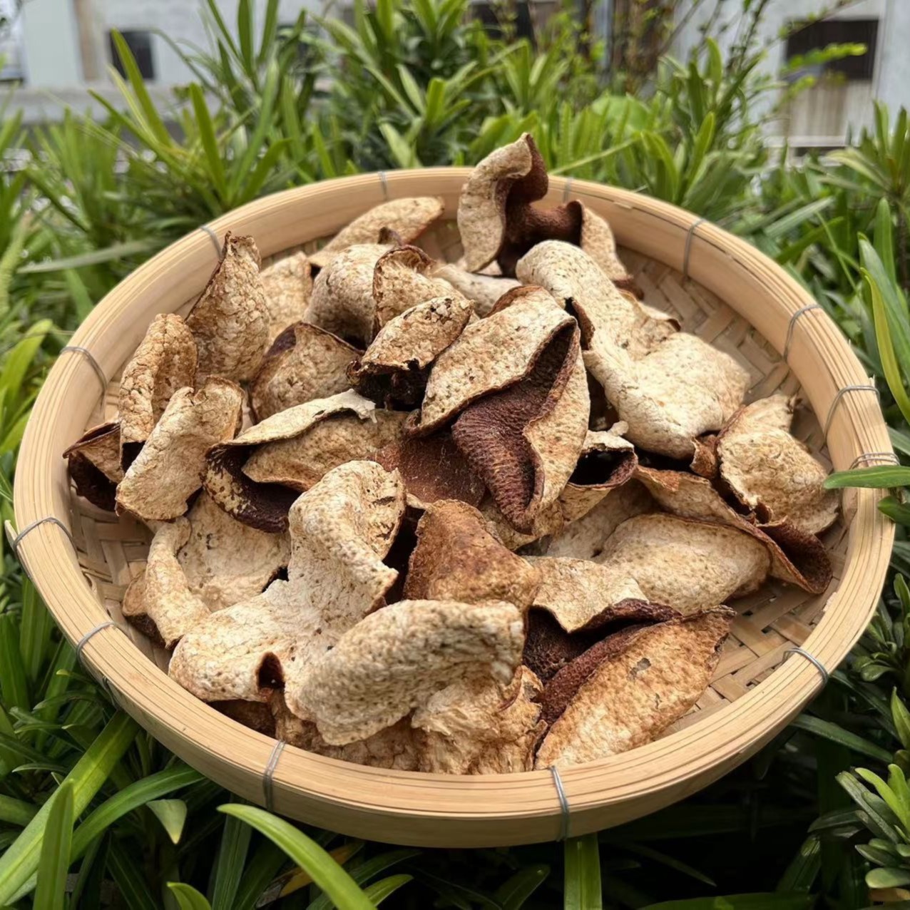 [品鉴款]单片2017新会陈皮双水圈枝 冬后皮 陈香甜口[有虫眼]30g