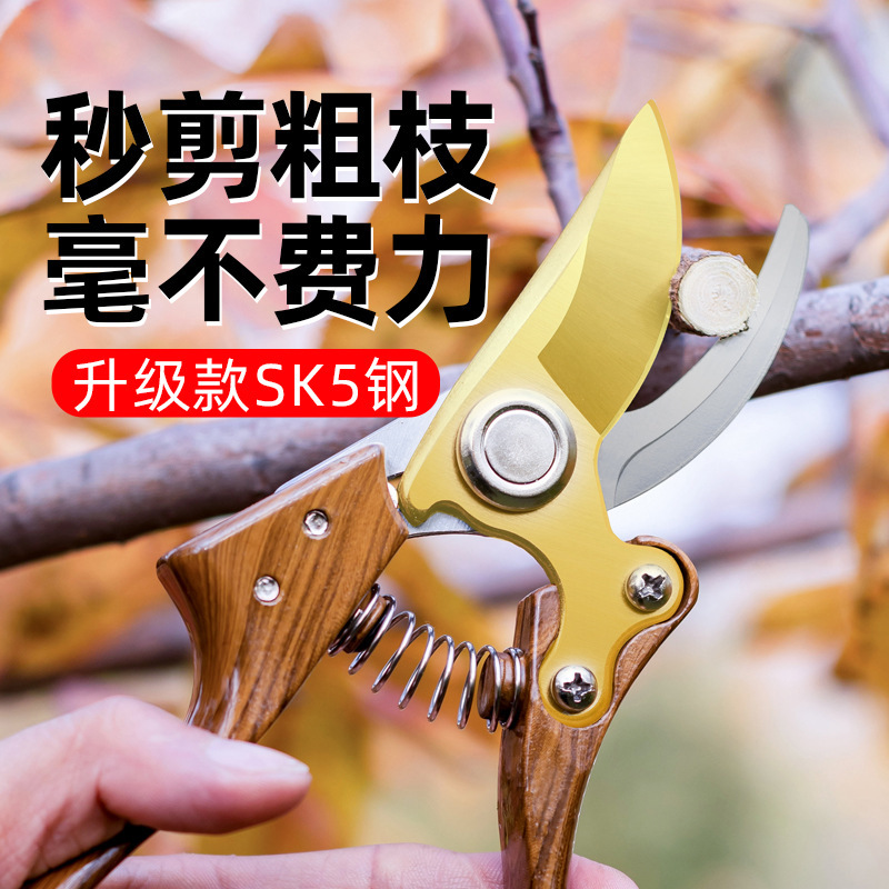 园林工具SK5钢修枝剪园艺剪花枝盆景剪刀多功能树枝剪工厂批发