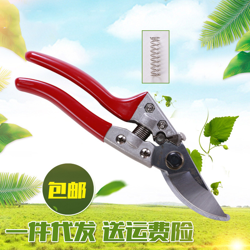 厂家加工不锈钢园林园艺粗枝剪花果树省力多功能修枝工具批发
