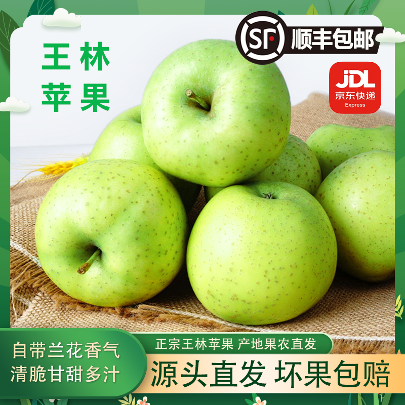 【京东、顺丰包邮】王林苹果雀斑苹果绿色食品新鲜青森苹果3-9斤