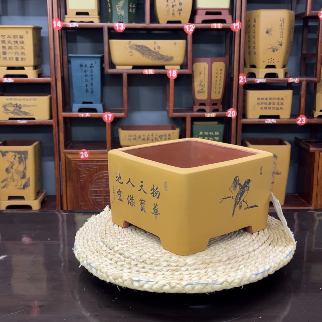 紫砂花盆紫砂花盆