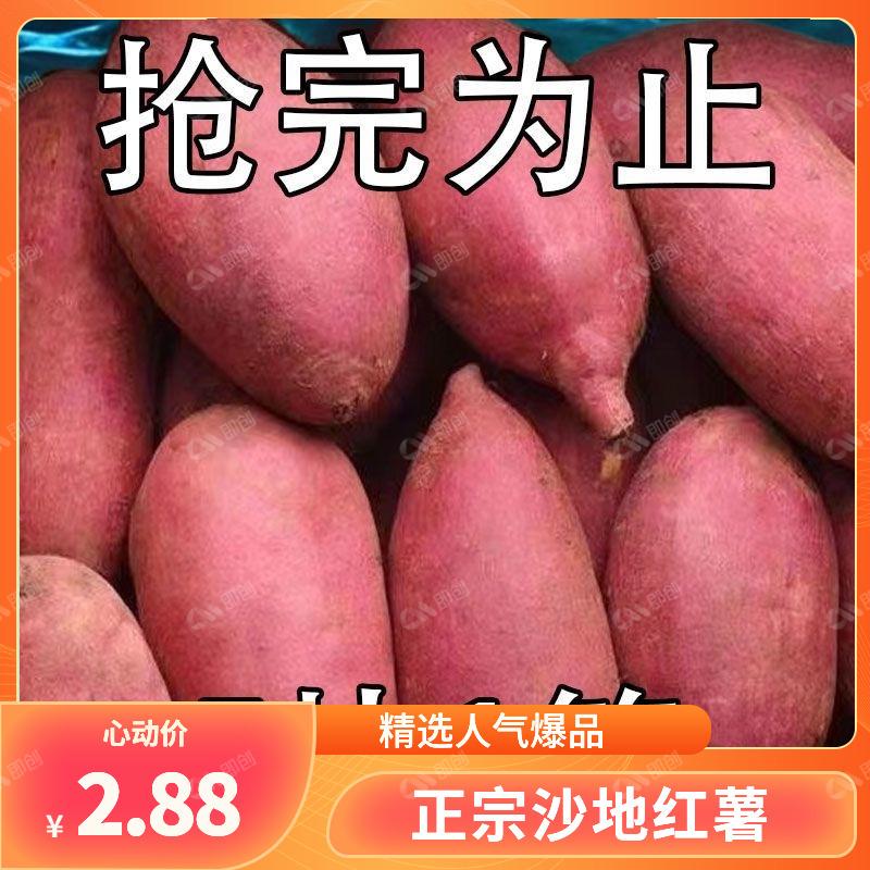 【抢购中】新鲜香甜沙地红薯红黄心蜜薯地瓜板栗健康番薯软糯香甜