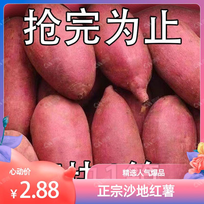 【抢购中】新鲜香甜沙地红薯红黄心蜜薯地瓜老少皆宜番薯软糯香甜