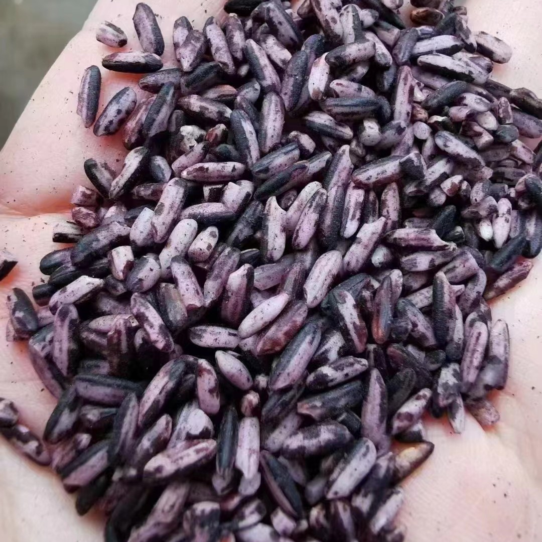 莆田特产山区农家产品钟山番薯(软紫糯米)五谷杂粮5斤