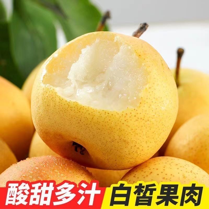 正宗鞍山特产南果梨香甜多汁品质新鲜采摘箱装