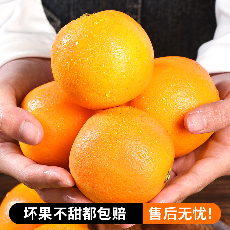 湖南正宗十年老树永兴冰糖橙子纯甜现摘当季新鲜水果橙子果园现发