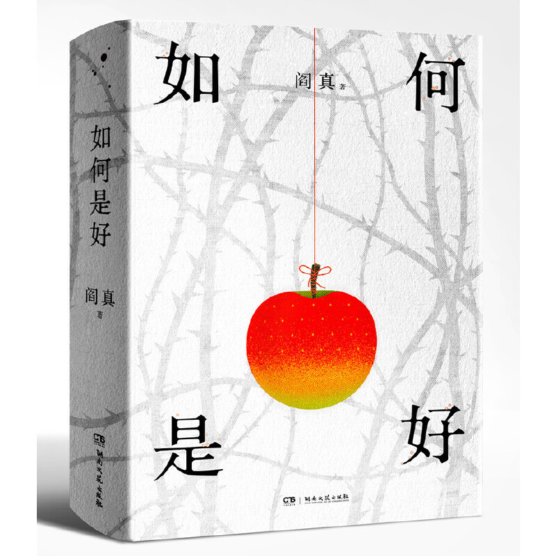 【当当】如何是好（精装版）（阎真）书籍