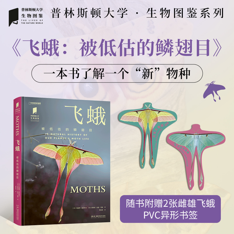 普林斯顿大学生物图鉴 ：飞蛾（被低估的鳞翅目）