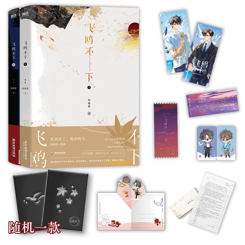 【当当】飞鸥不下：全2册飞鸥不下：全2册书籍