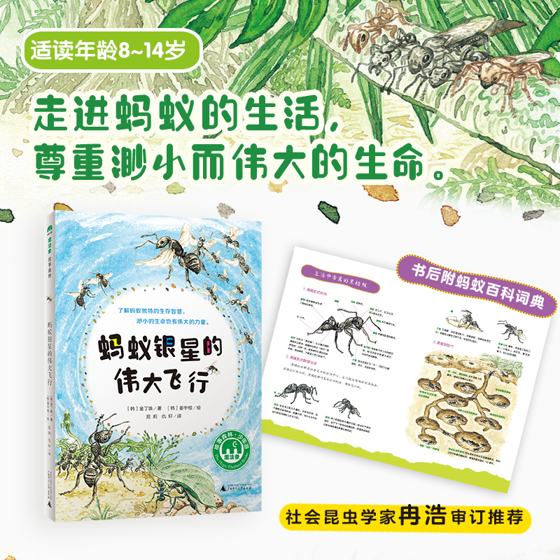 【当当】蚂蚁银星的伟大飞行（魔法象·故事森林）开学好书