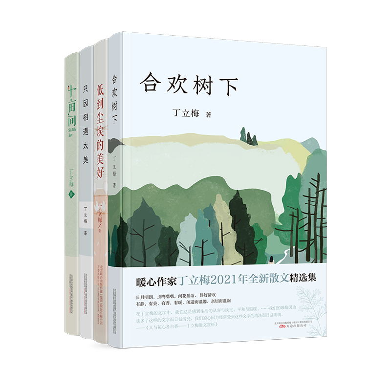 【当当】丁立梅散文精选集（套装四册）中考语文热点、暖心作家丁