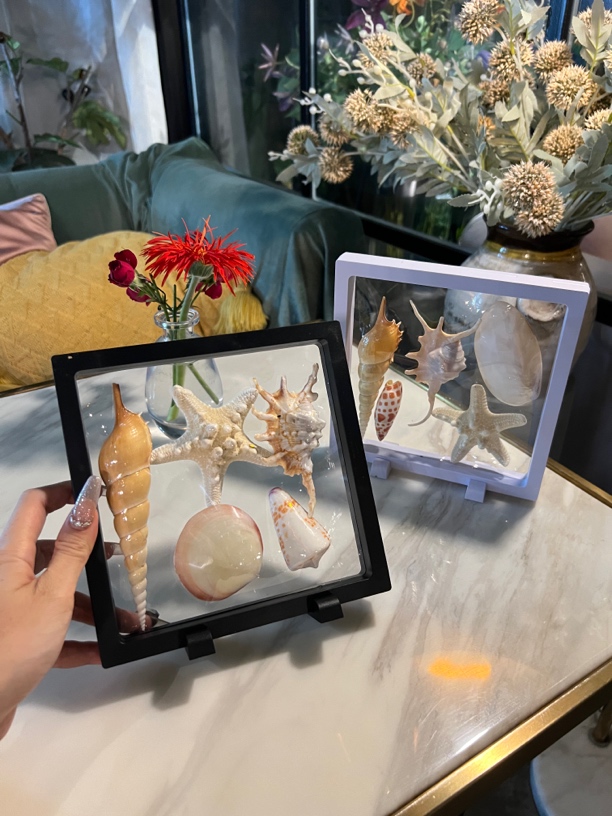 海南旅游特产特色伴手礼纪念品天然贝壳海星标本摆件DIY材料礼盒