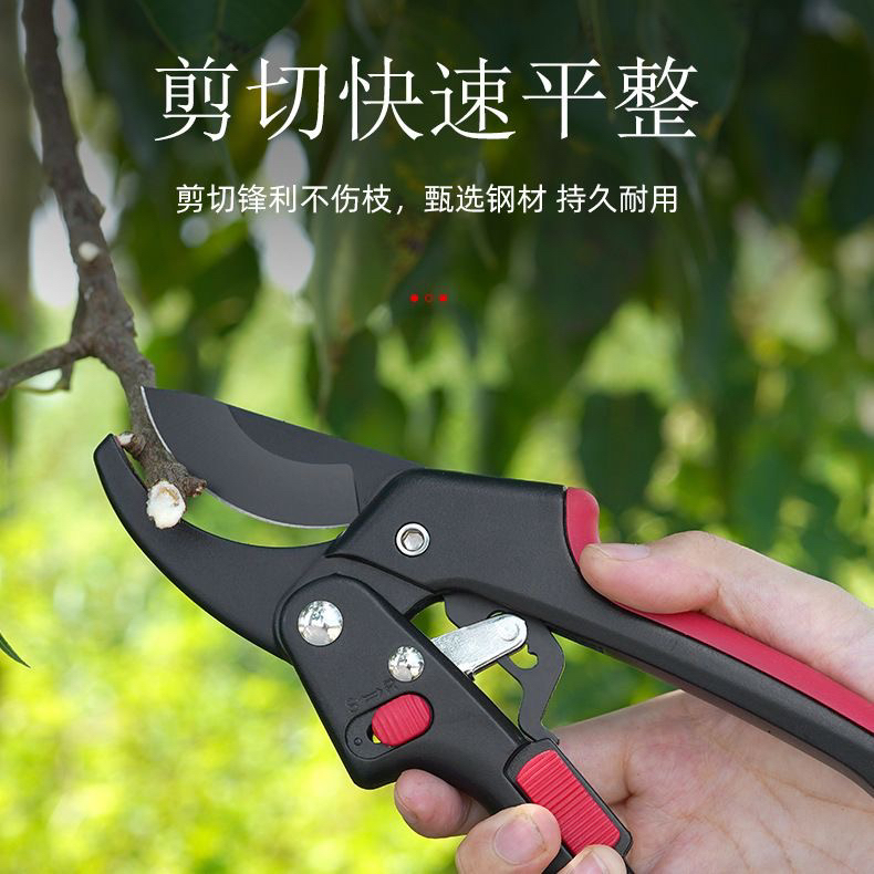 快速持久耐用省力剪子树剪果剪盆景盆栽剪枝多功能