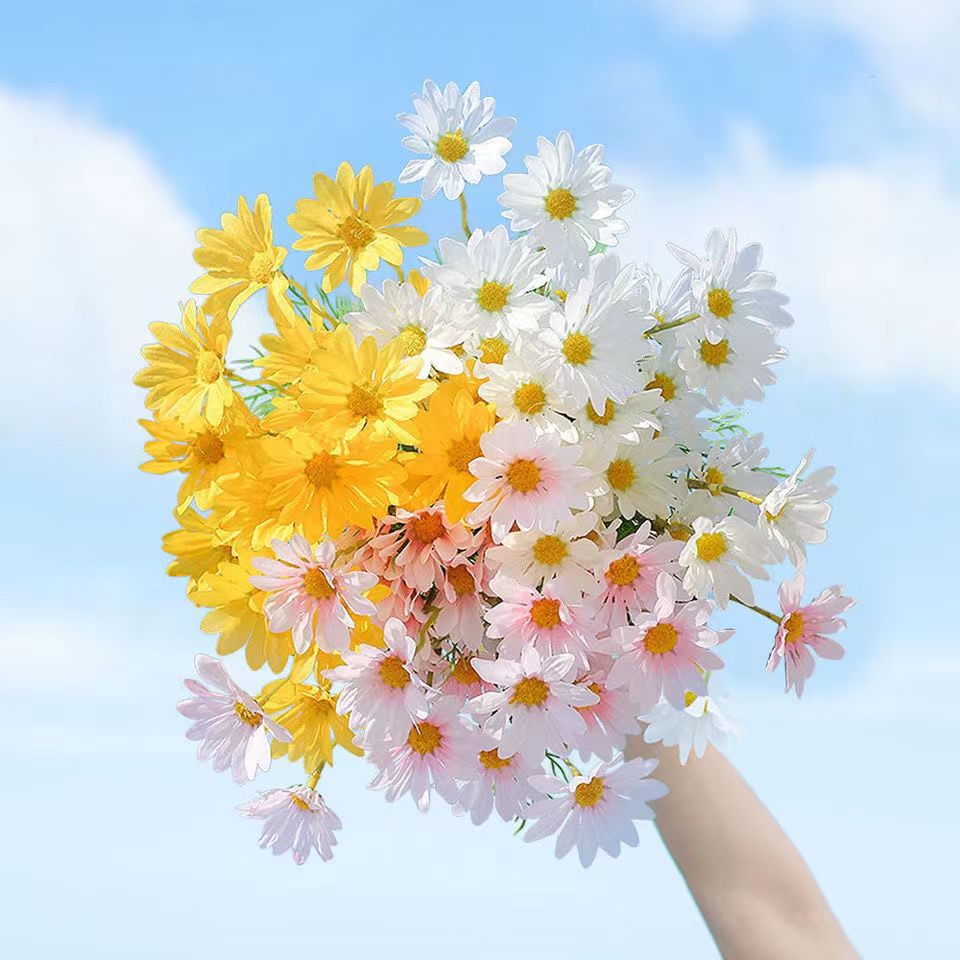 节日礼物小雏菊【罡】