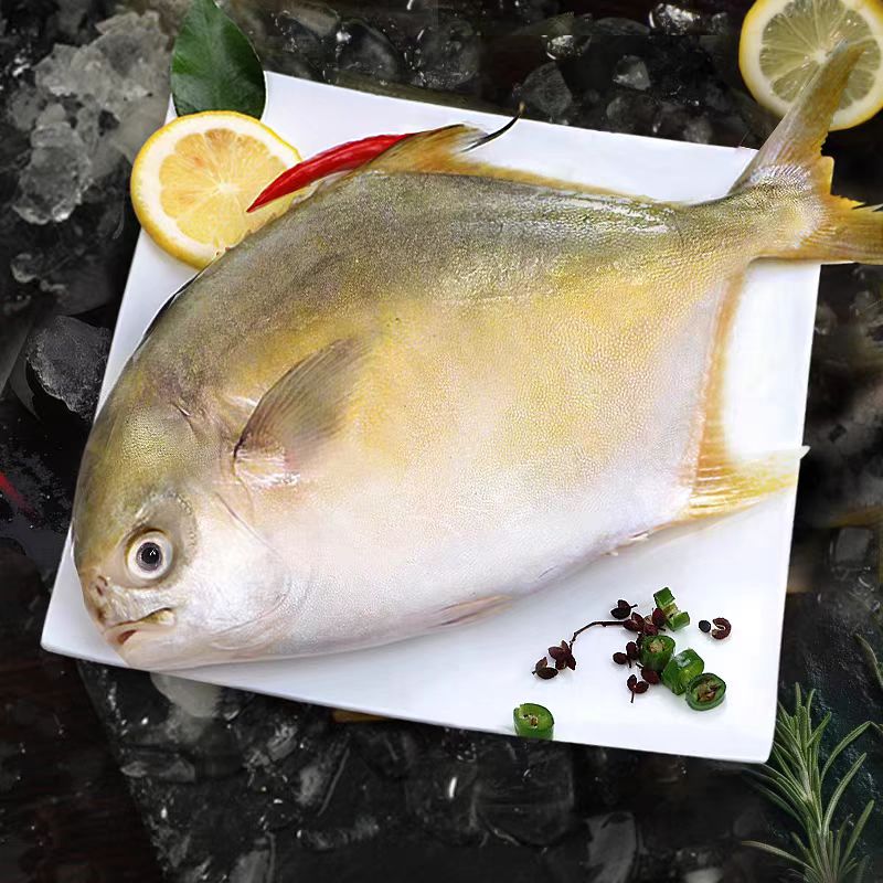 【金鲳鱼】鲜金鲳鱼1条（约 500g）