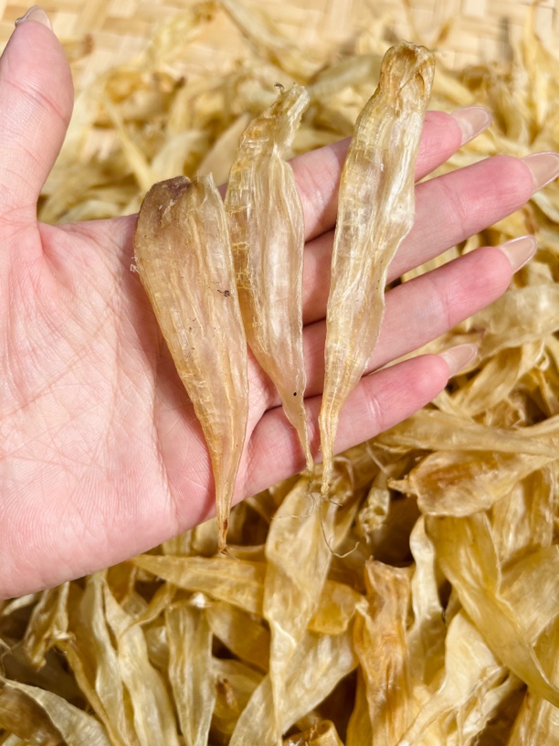 「御承行」豆仁公胶 1g~500g 各类鱼胶代拍 散装农产品 改链接