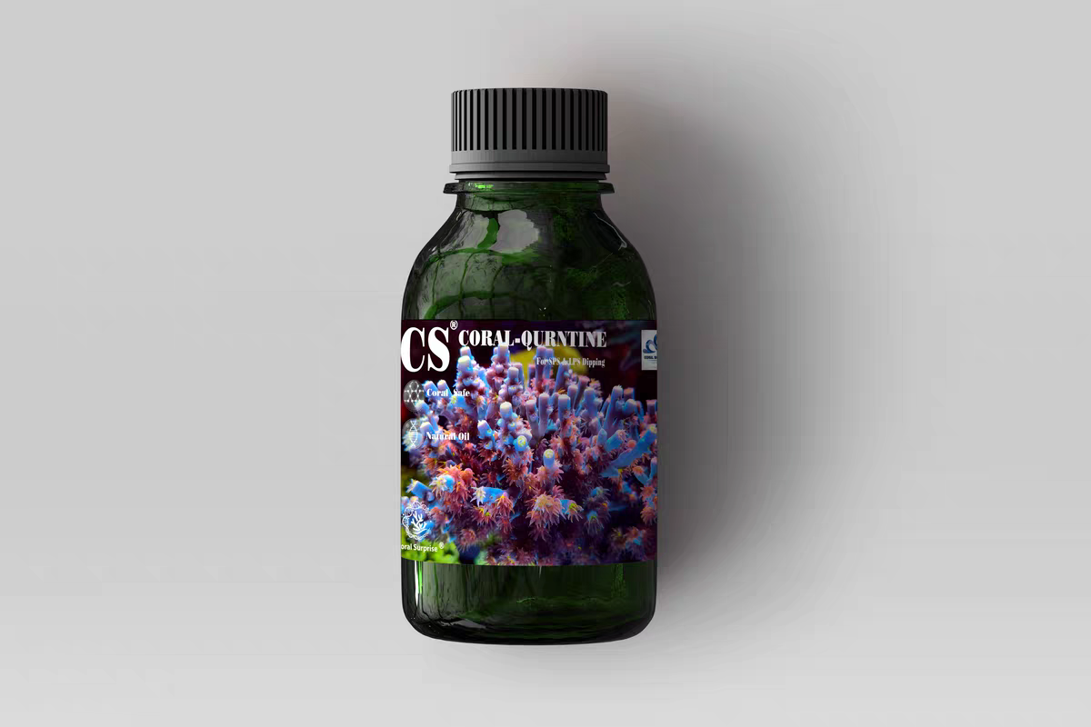 CS检疫药水 珊瑚检疫 偏虫 海兔 常见寄生虫 主流配方