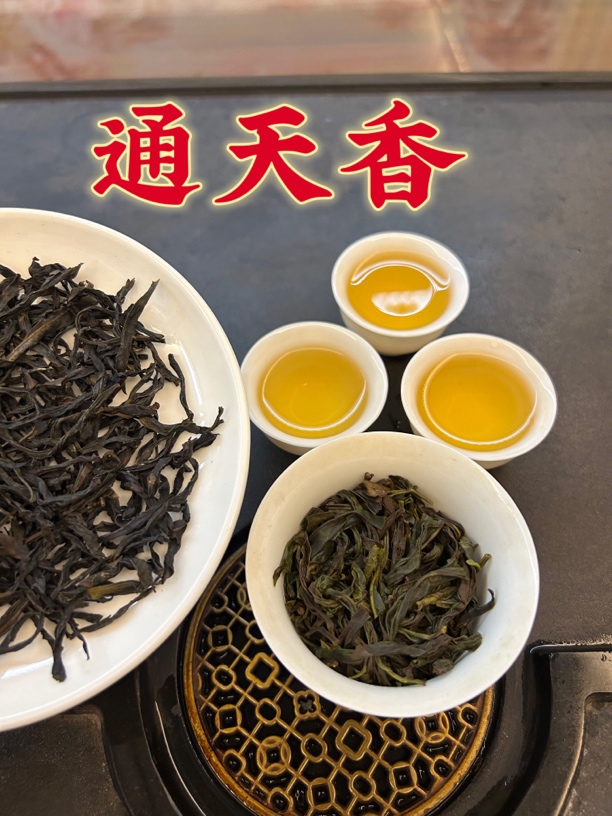 【老枞通天香】高品质老枞通天香2025秋雪茶潮州凤凰单枞茶