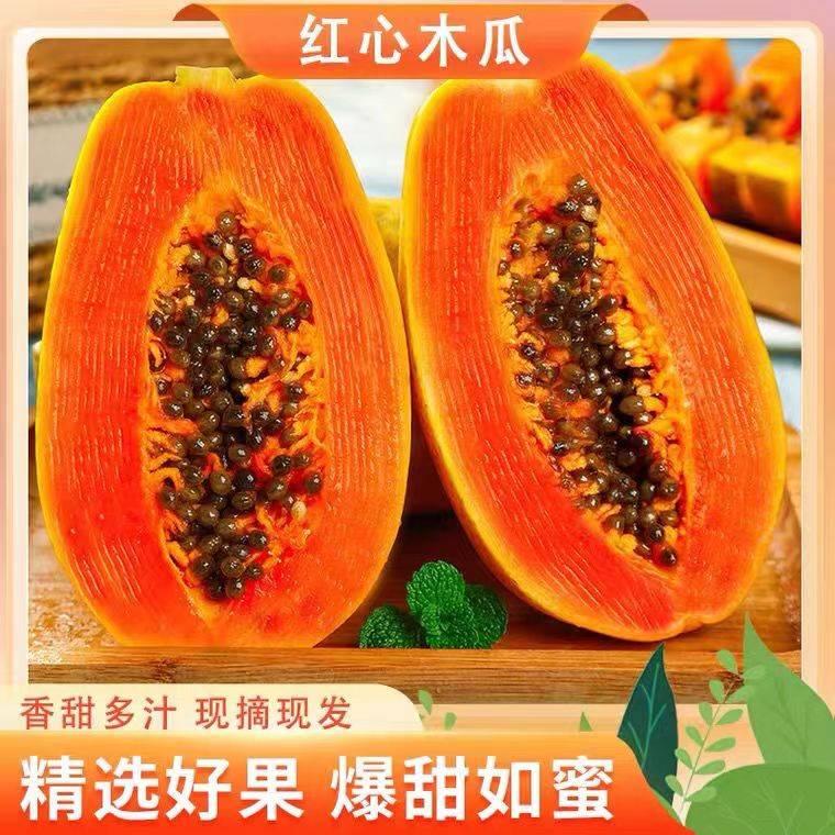 【阿高】现摘树上熟海南红心木瓜牛 木瓜/炖汤青皮非雷 州奶冰糖心。