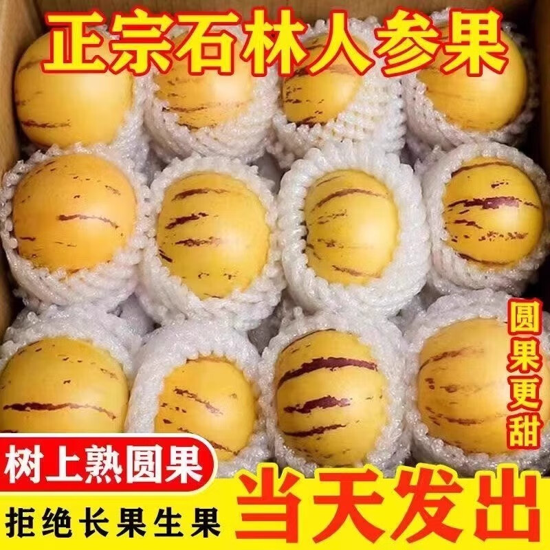 【阿高】云南石林人参果圆果新鲜应当季水果七彩黄肉熟人生果整箱包