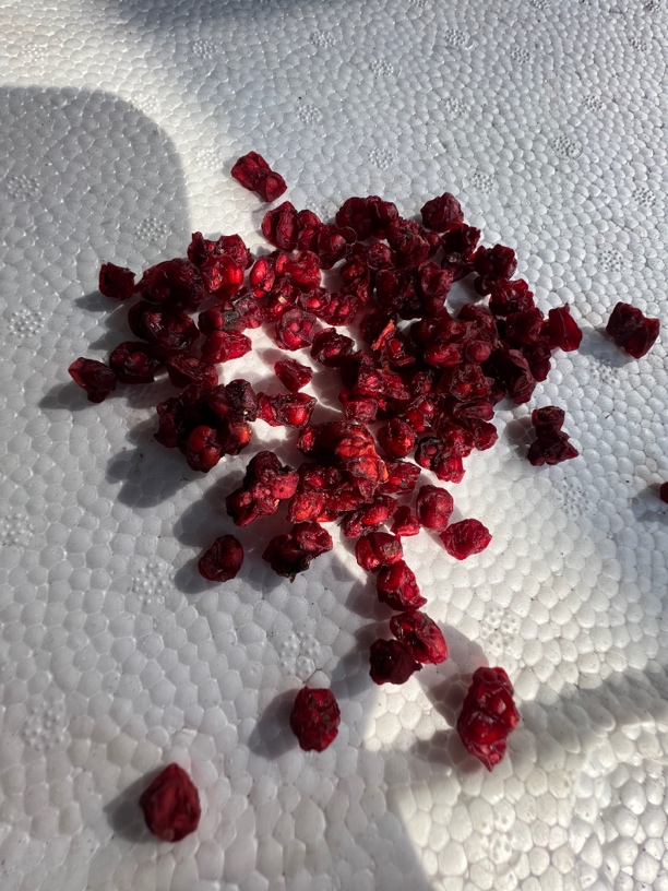 长白山五味子改价链接