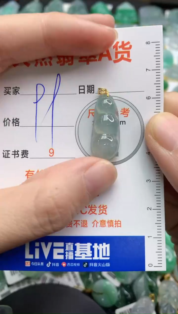 【闪购商品】翡翠颈饰18K金镶嵌95