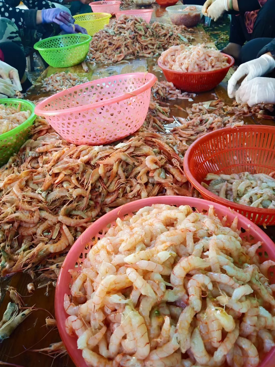 汕尾马宫本港-海虾仁，手工现剥，宝宝辅食，无水无冰，1盒半斤
